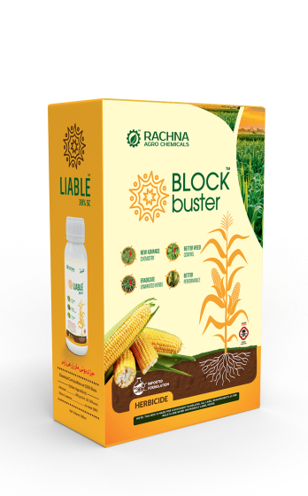 Block Buster_Box-Mock Up-Final Block Buster_Box-Mock Up-Final