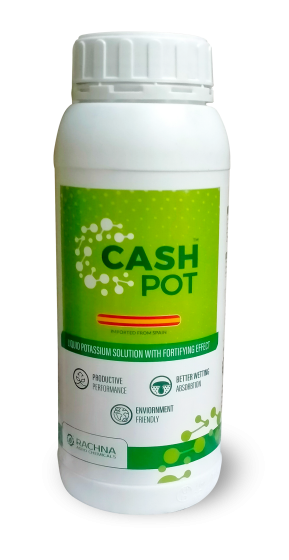 Cash-Pot-Bottle-new Cash-Pot-Bottle-new