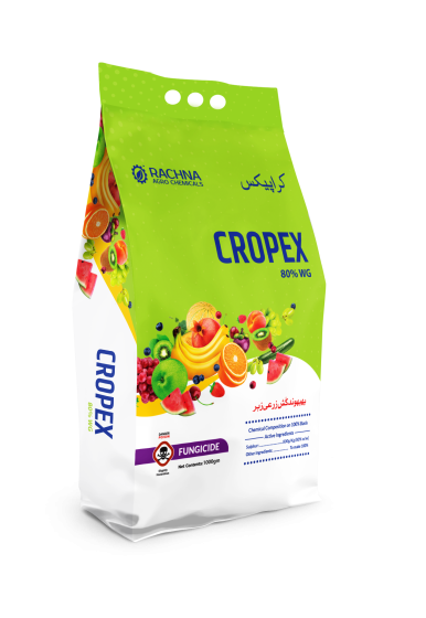 Cropex Side Guset Bag Mock up-TP