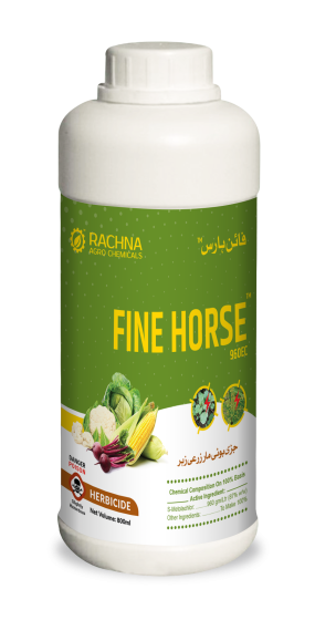 FIne-Horse FIne-Horse