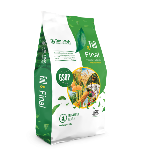 Full and Final Guset Bag Mock up-Trasnparent Bg-Isolated Full and Final Guset Bag Mock up-Trasnparent Bg-Isolated