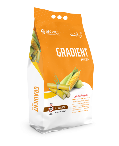 Gradient Side Guset Bag Mock up-TP Background Gradient Side Guset Bag Mock up-TP Background