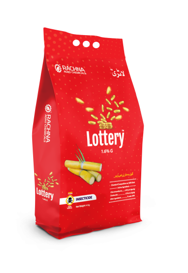 Lottery Side Guset Bag Mock up-TP-4Kg-Red Lottery Side Guset Bag Mock up-TP-4Kg-Red