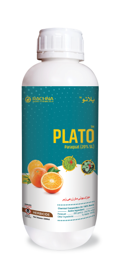 Plato Plato