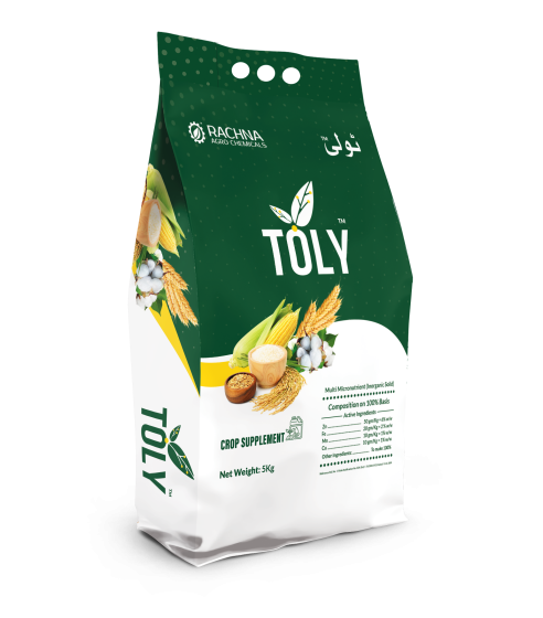 Toly Side Guset Bag Mock up-Clear Bg Toly Side Guset Bag Mock up-Clear Bg