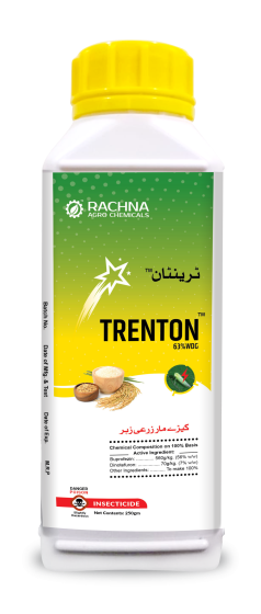 Trenton Trenton