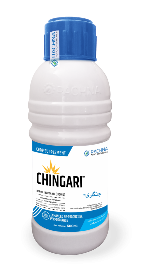 chingari new chingari new