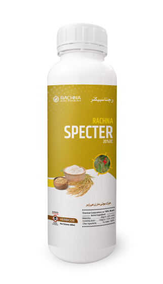 rachna-Spector-600ml rachna-Spector-600ml